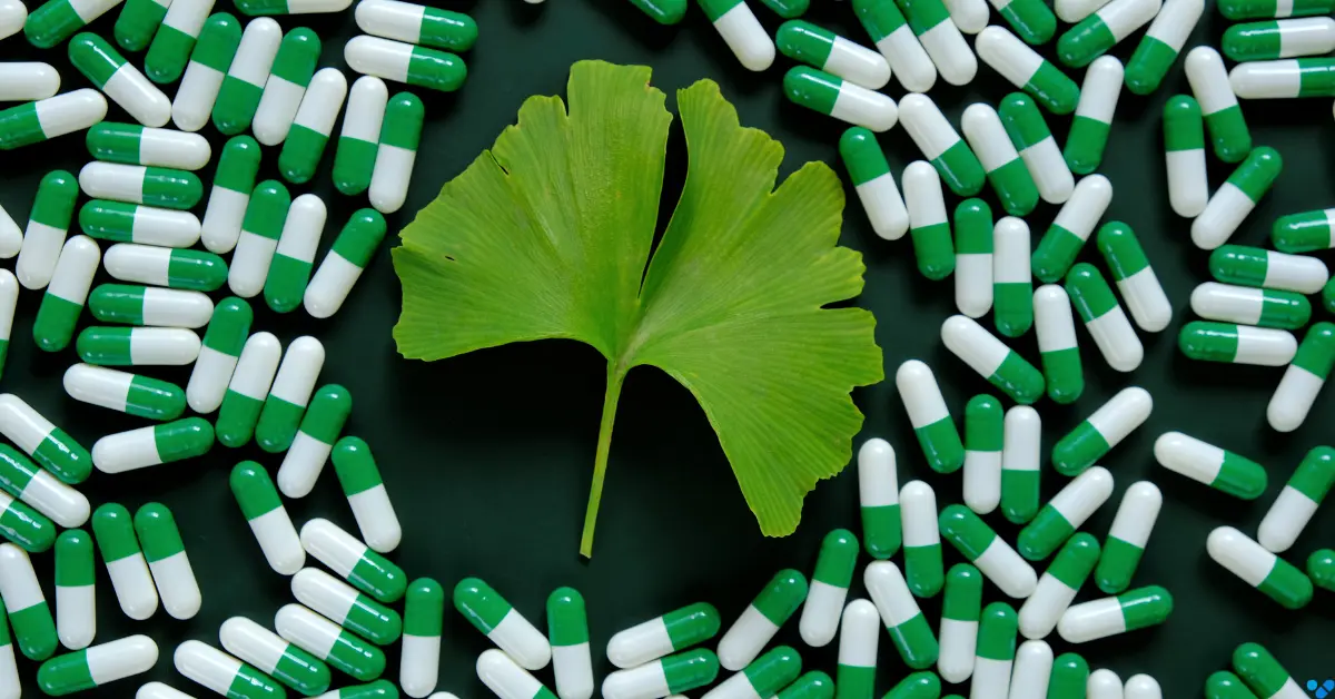 Grüne Kapseln mit Ginkgo-Blatt als Symbol für natürliche Unterstützung