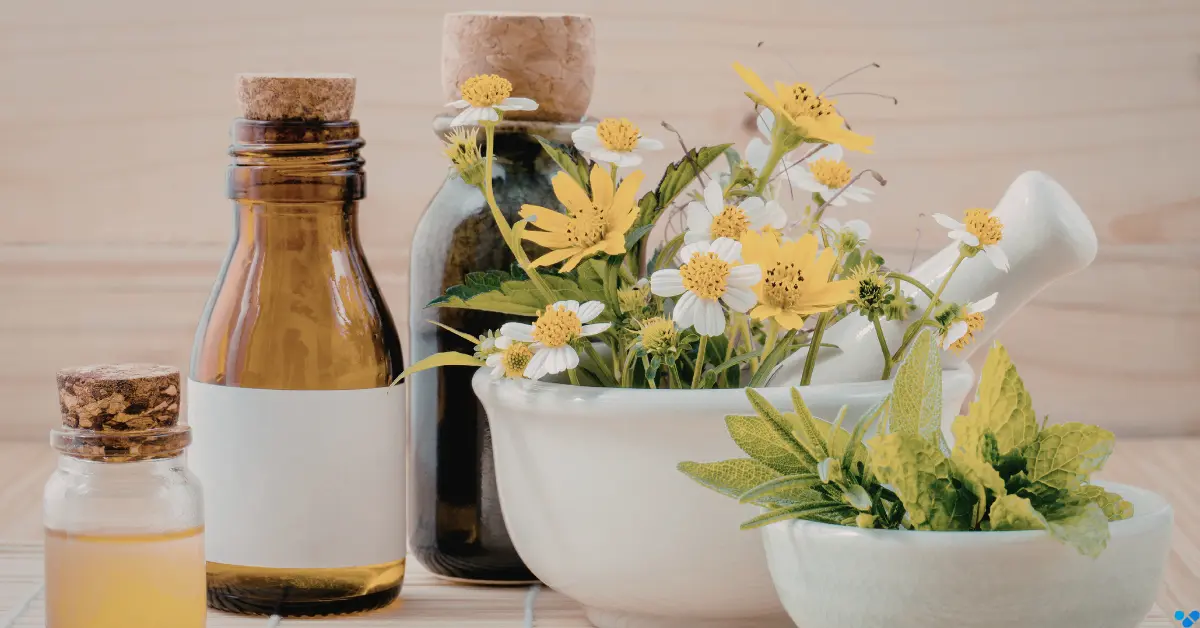 Kräuter, Fläschchen und Mörser als Symbolbild für homöopathische Mittel aus der Apotheke