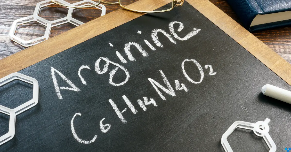 L-Arginin Kapseln und Pulver – Aminosäure für Durchblutung und Potenz